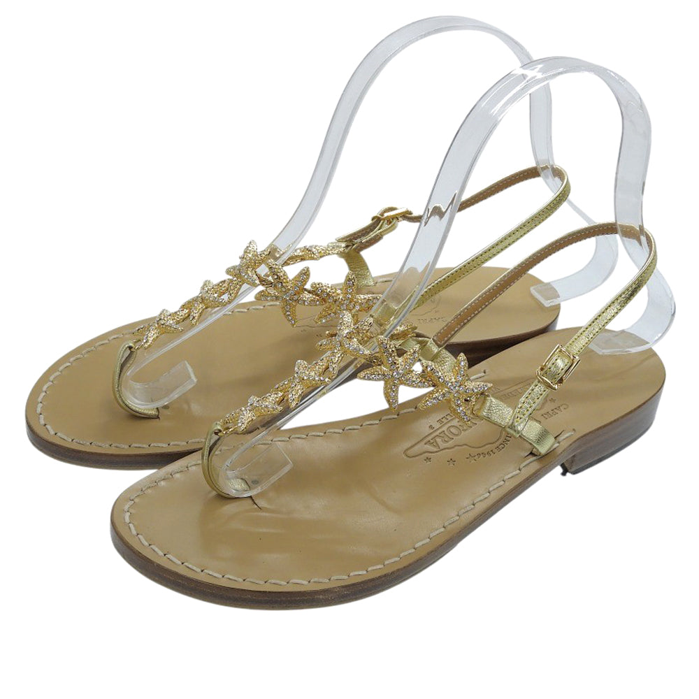 Amedeo Canfora Capri アメディオカンフォラカプリ スターフィッシュ トング バックスリング サンダル バックストラップ レディース ゴールド 6 パンプス 6(US)