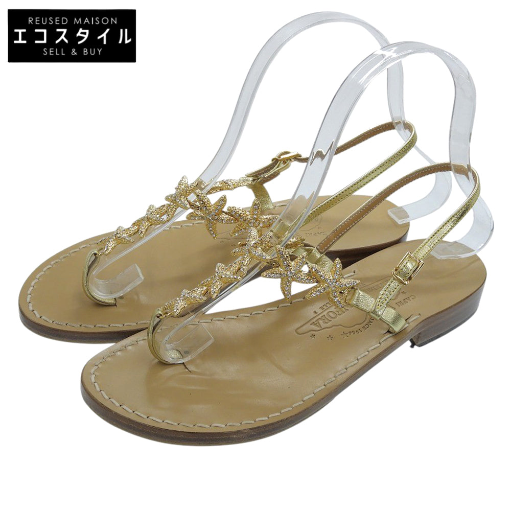 Amedeo Canfora Capri アメディオカンフォラカプリ スターフィッシュ トング バックスリング サンダル バックストラップ レディース ゴールド 6 パンプス 6(US)