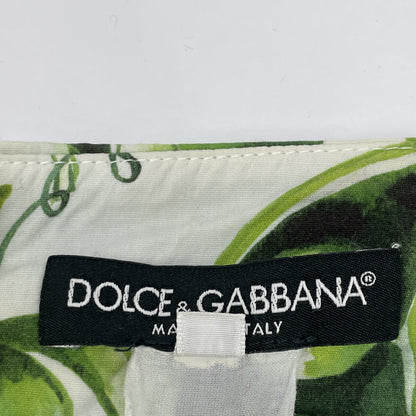 DOLCE&GABBANA ドルチェアンドガッバーナ さやえんどう ﾌﾟﾘｰﾂｽｶｰﾄ スカート 40