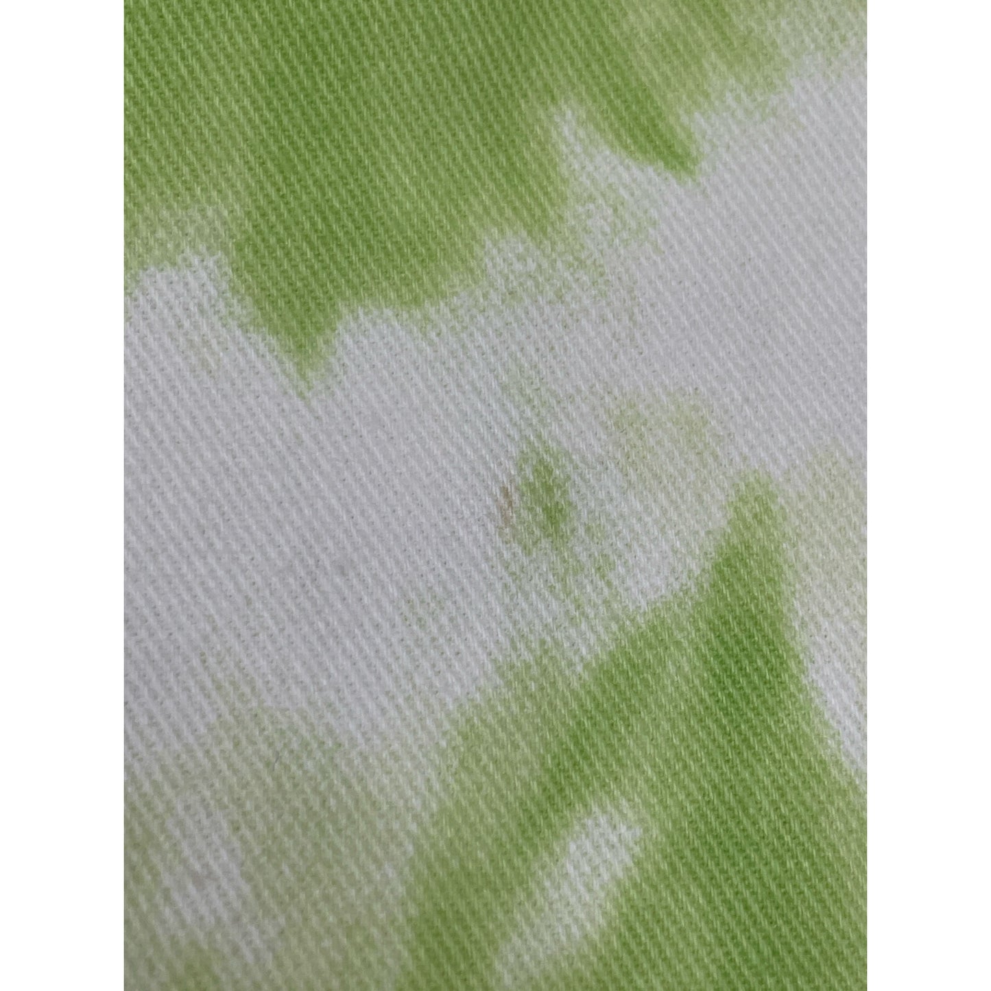 CELINE セリーヌ ライトグリーン ダイダイ デニム スカート スカート 34