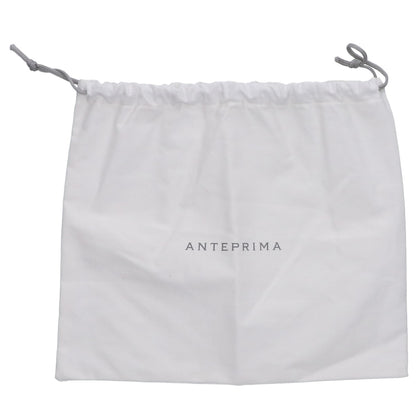 ANTEPRIMA アンテプリマ 【美品】ボーダー ワイヤー ショルダーバッグ