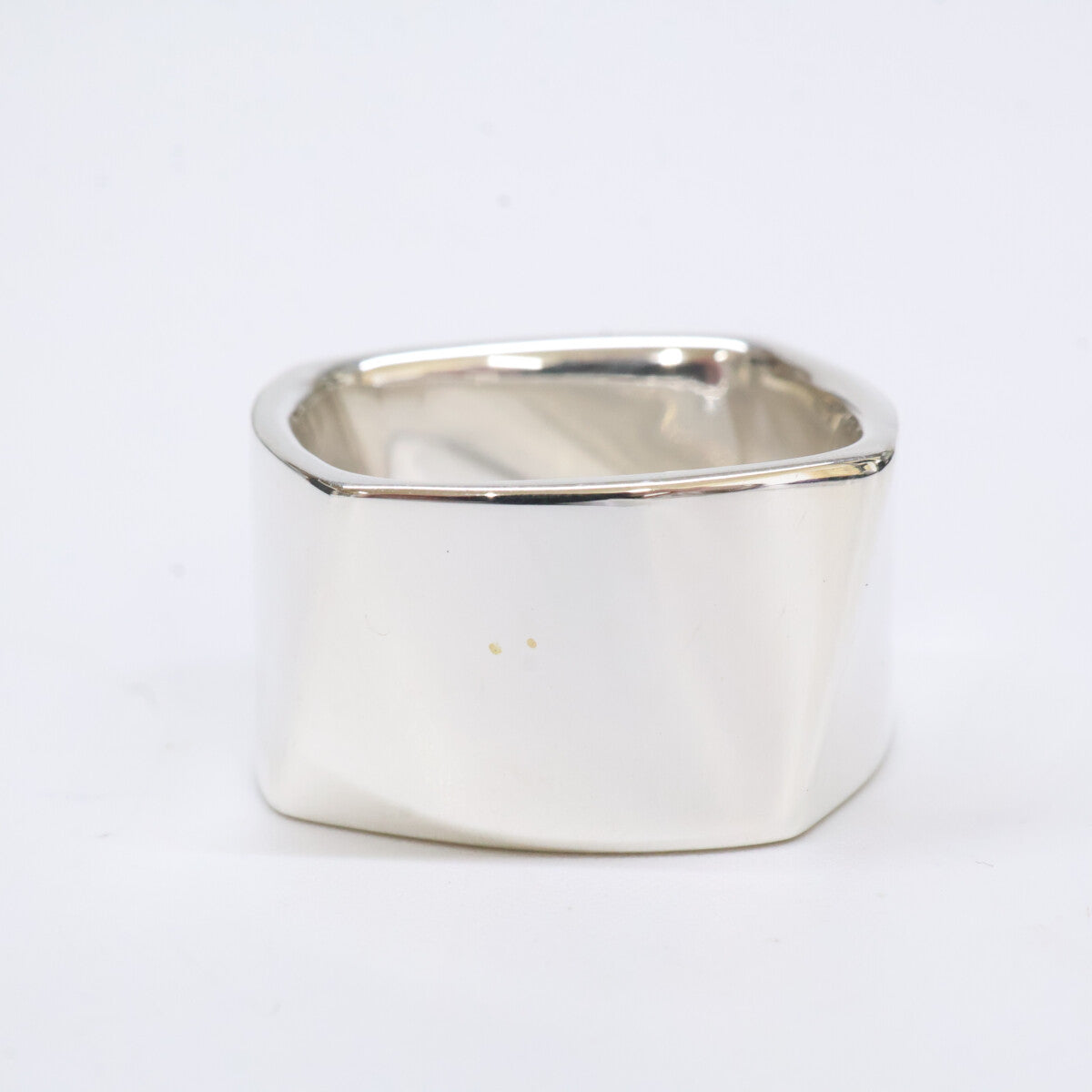 TIFFANY&Co. ティファニー 925 フランクゲーリー トルク リング 指輪