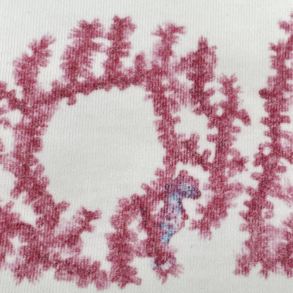 DIOR ディオール ﾎﾜｲﾄ×ﾋﾟﾝｸ ﾛｺﾞ 半袖Tｼｬﾂ　24ss トップス L