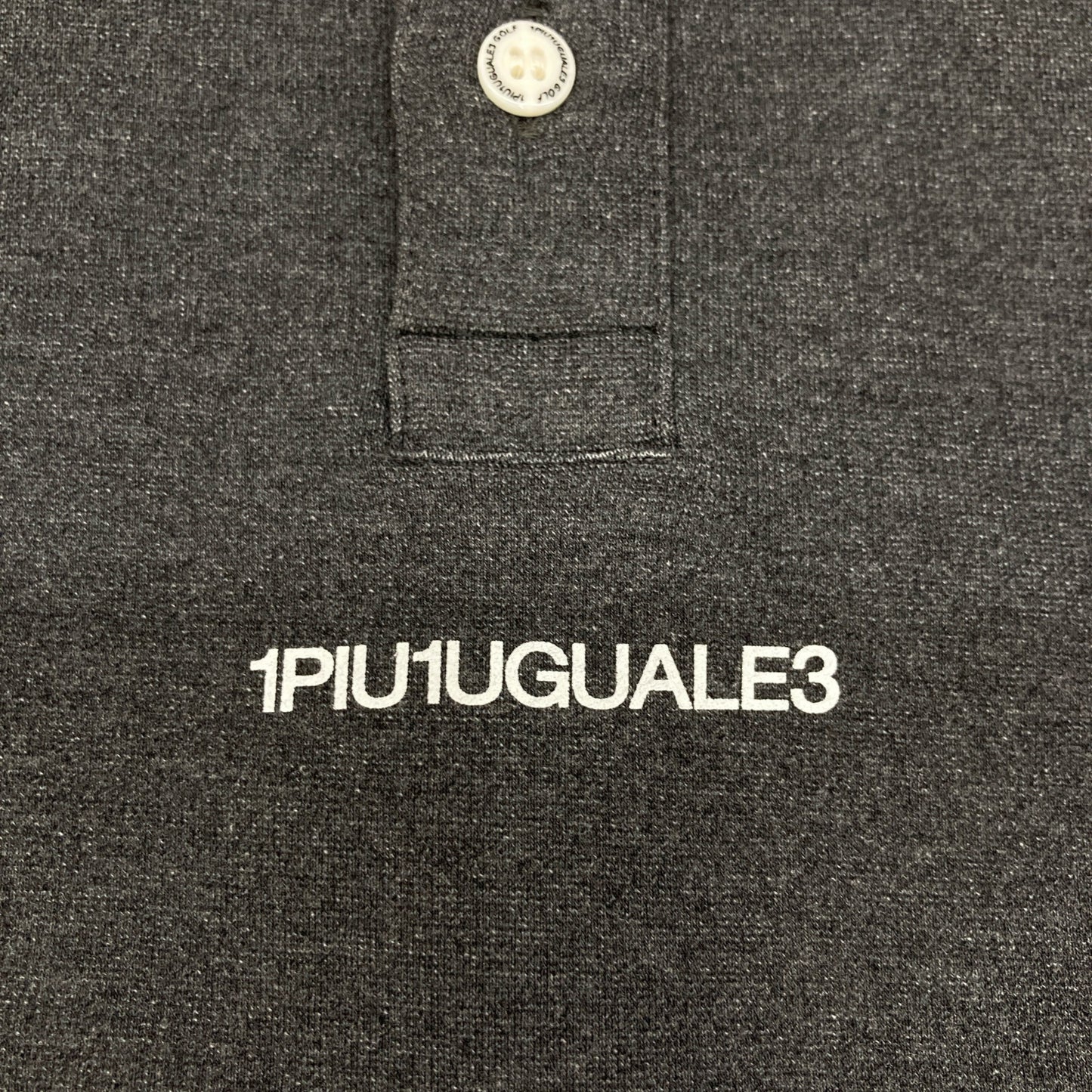 1piu1uguale3 ウノピゥウノウグァーレトレ 【GOLF】【×Del Piero】GDT012 ｸﾞﾚｰ L/S BACK LINE POLO 長袖ｼｬﾂ トップス IV