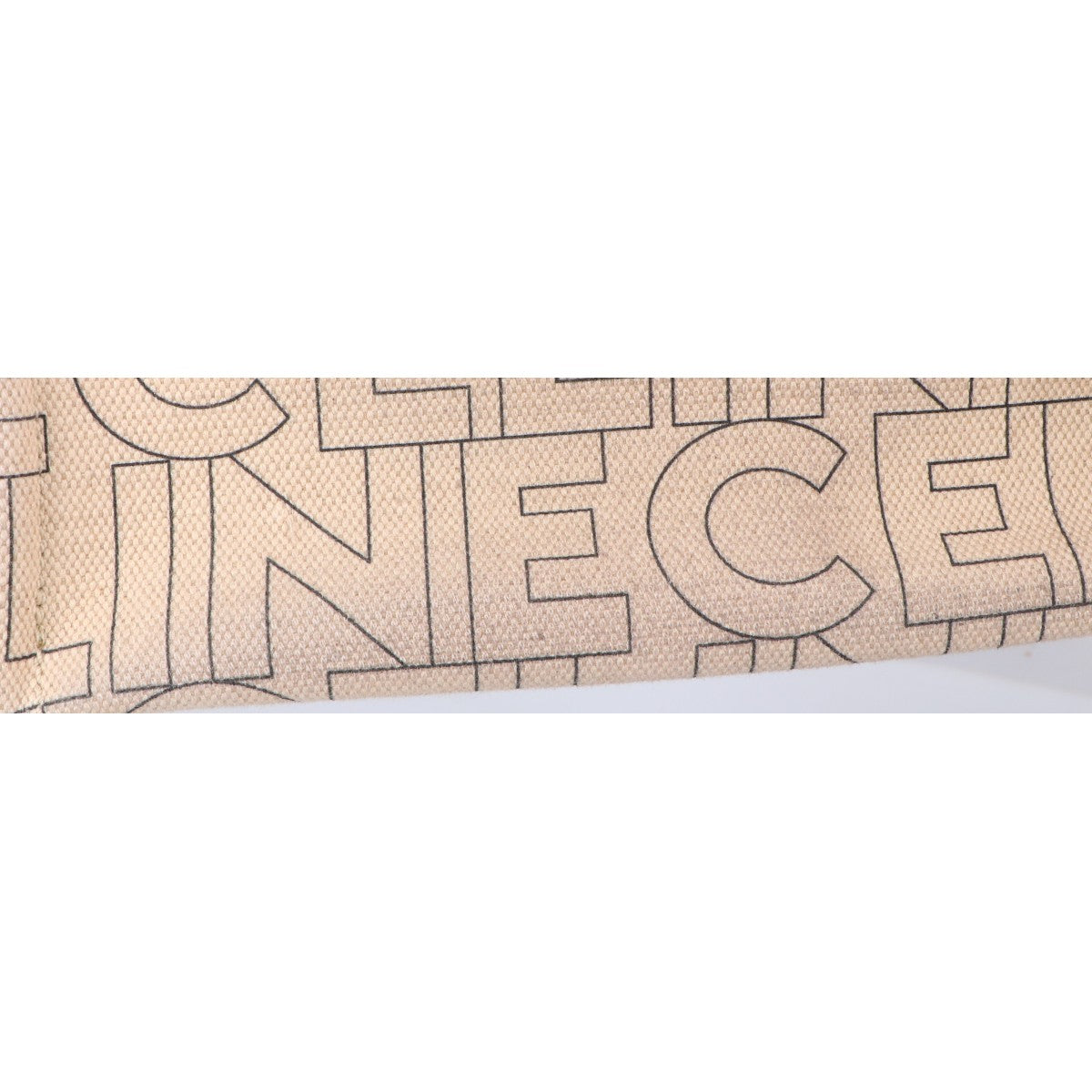 CELINE セリーヌ トリオンフ キャンバスxカーフ ロゴ総柄 スモール カバ タイス 2WAYトートバッグ ショルダーバッグ