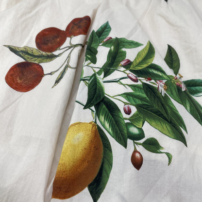 CABaN キャバン 25年製 ｱｲﾎﾞﾘｰ Green Shower 2ﾀｯｸｼﾙｸﾜｲﾄﾞﾊﾟﾝﾂ ボトムス XS