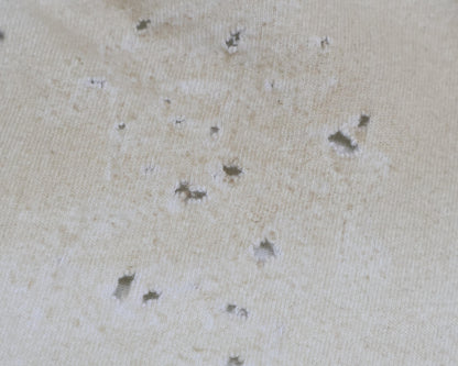 BALENCIAGA バレンシアガ 【美品/国内正規/22年製】739028 ダメージ加工 半袖Tシャツ/ トップス L